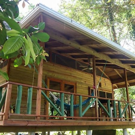 Jungle Beach 2 Bedroom Cottage Bocas Town Dış mekan fotoğraf