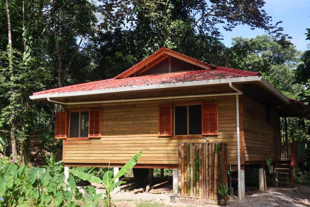 Jungle Beach 2 Bedroom Cottage Bocas Town Dış mekan fotoğraf