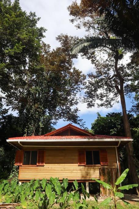 Jungle Beach 2 Bedroom Cottage Bocas Town Dış mekan fotoğraf
