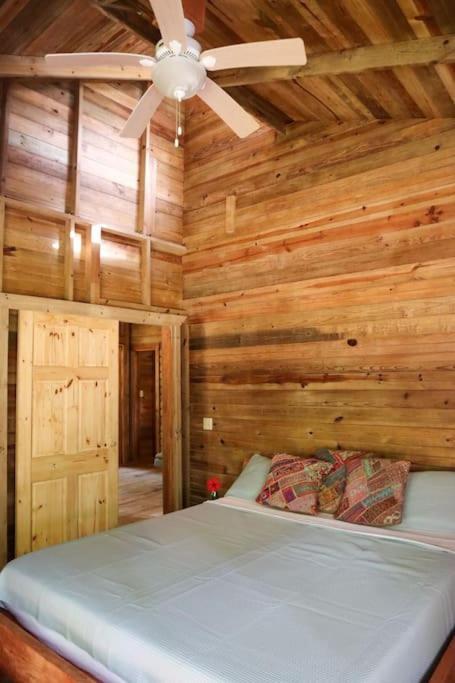 Jungle Beach 2 Bedroom Cottage Bocas Town Dış mekan fotoğraf