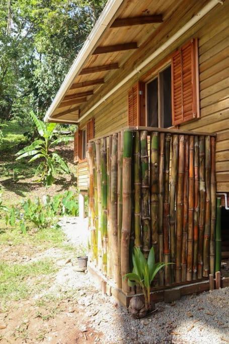 Jungle Beach 2 Bedroom Cottage Bocas Town Dış mekan fotoğraf