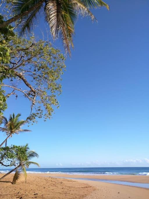 Jungle Beach 2 Bedroom Cottage Bocas Town Dış mekan fotoğraf