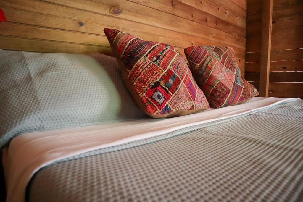 Jungle Beach 2 Bedroom Cottage Bocas Town Dış mekan fotoğraf
